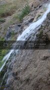 DSC00661.jpg