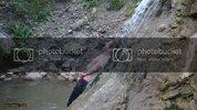 DSC00669.jpg