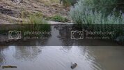 DSC00689.jpg
