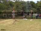 SDC11728.jpg