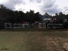 SDC11750.jpg