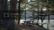 DSC01025.jpg