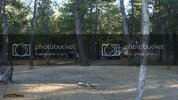 DSC01123.jpg