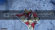 DSC01127.jpg