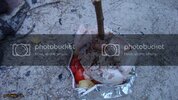 DSC01128.jpg