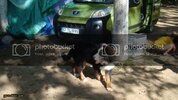 DSC01254.jpg
