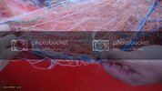 DSC01289.jpg