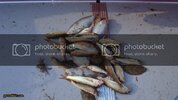 DSC01294.jpg