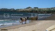 DSC01304.jpg
