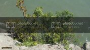 DSC01343.jpg