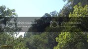 DSC01395.jpg