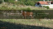 DSC01462.jpg