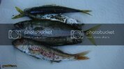 DSC01645.jpg