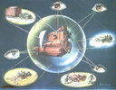 crystalball.jpg crystalball.jpg