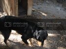 IMG_3972.jpg IMG_3972.jpg
