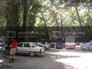 IMG_4029.jpg IMG_4029.jpg