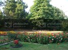 100_1601.jpg
