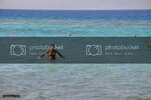 KzlDeniz0446.jpg