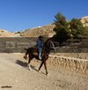 KzlDeniz0483.jpg
