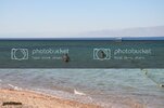 KzlDeniz0445.jpg