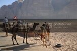 KzlDeniz0669.jpg