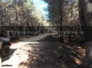 SDC12318.jpg
