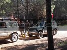 SDC12320.jpg
