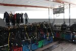 IMG_3785.jpg