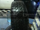 DSC07731.jpg