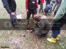 SDC12516.jpg