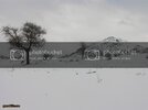 SANY4981.jpg
