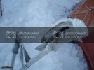 DSC01833.jpg