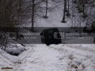 100_3980-L.jpg