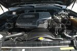DSC_1860.jpg
