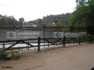 IMG_8492Medium.jpg
