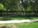 IMG_8498Medium.jpg