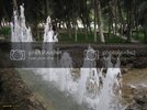 IMG_8665Medium.jpg
