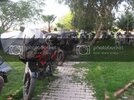 IMG_8675Medium.jpg