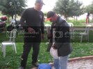 IMG_8678Medium.jpg