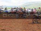 IMG_8923Medium.jpg