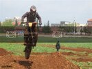 IMG_8930Medium.jpg