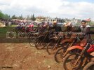 IMG_8978Medium.jpg