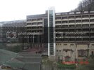 CIMG0669.jpg