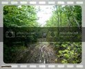 th_film-13.jpg