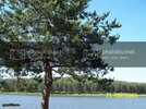 100_4794.jpg