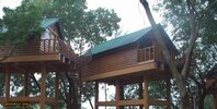 tree-house.jpg