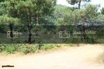 IMG_5012972x648.jpg