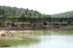 IMG_5042972x648.jpg