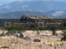 100_5289.jpg