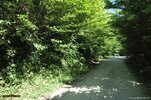 dsc_0414.jpg
